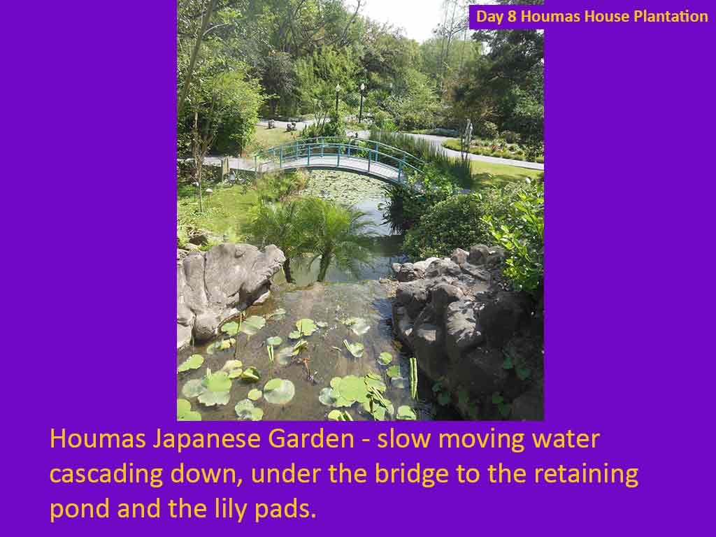 Houmas House Plantation and Gardens on Day 8