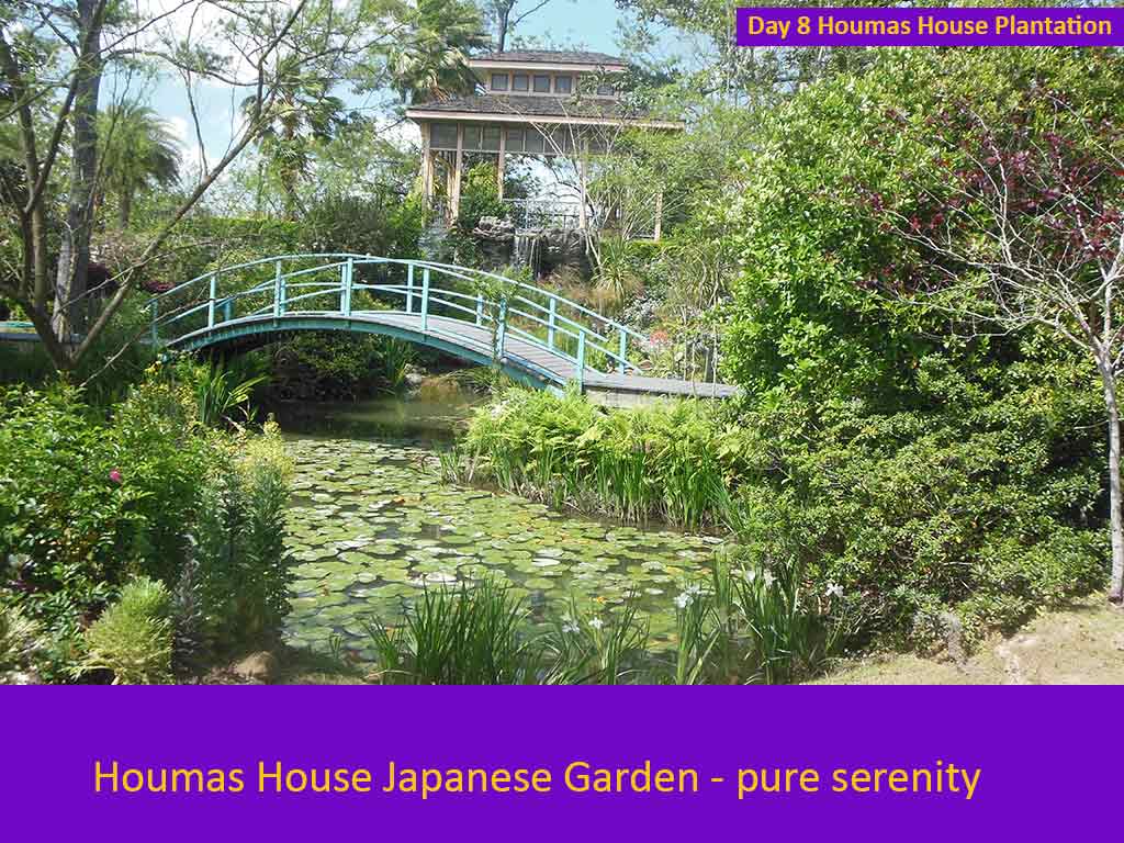 Houmas House Plantation and Gardens on Day 8